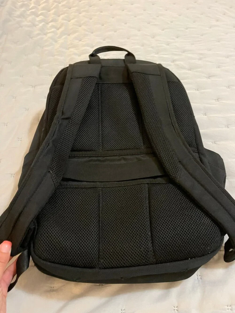 Samsonite Novex Laptop Backpack | Black | Fits 15.6